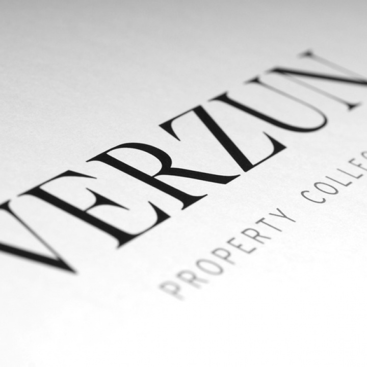 Verzun logo image