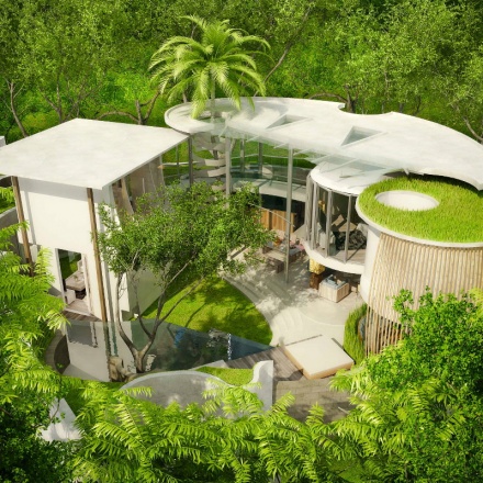 del mango blog image