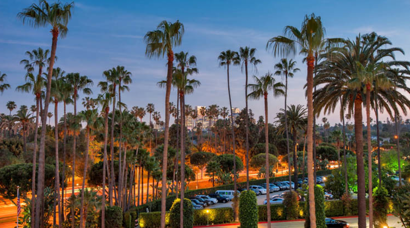 Escort Service Beverly Hills