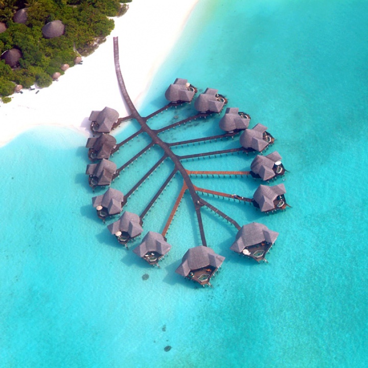 Coco Palm Resort, Maldives4