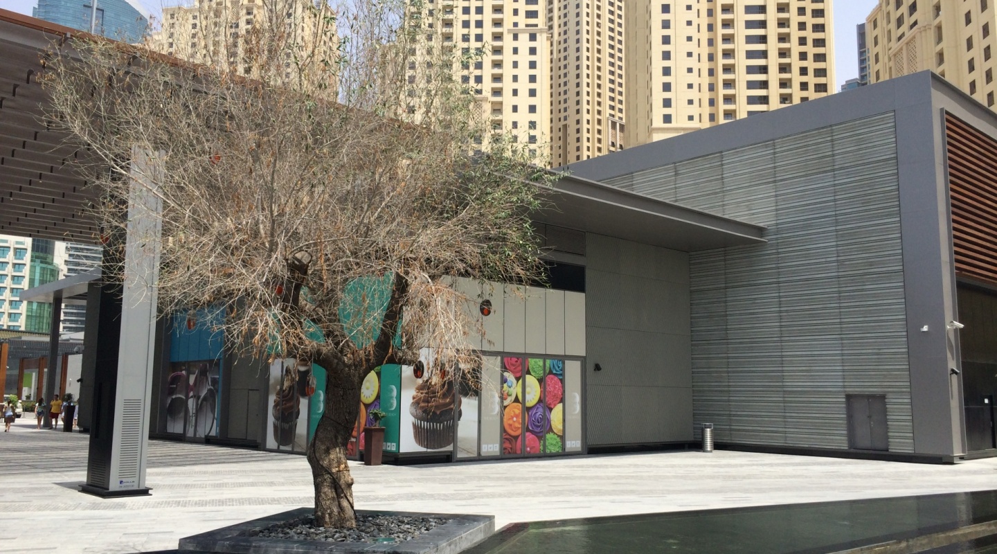 the beach in jbr 6