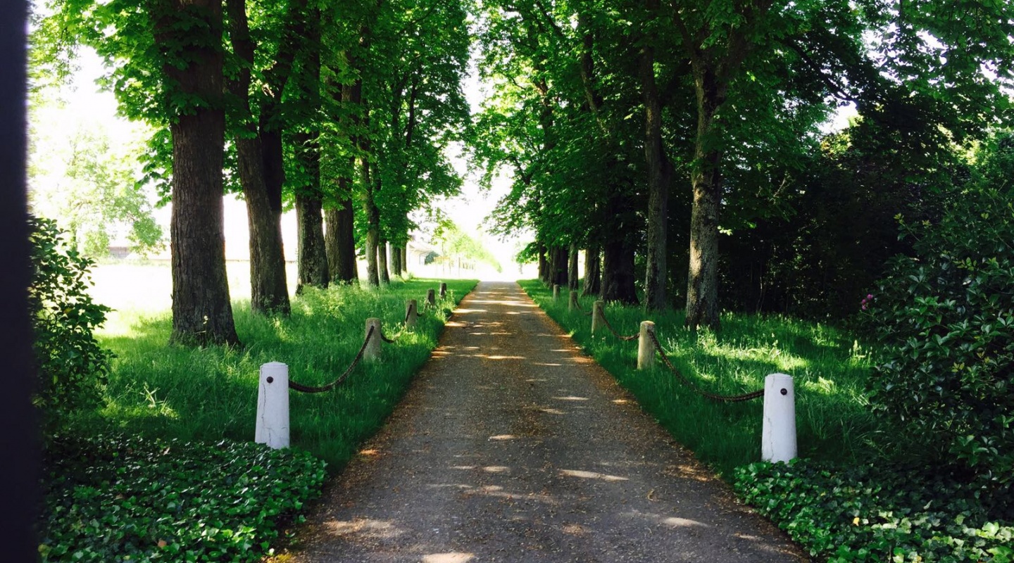 10 estate in lake geneva