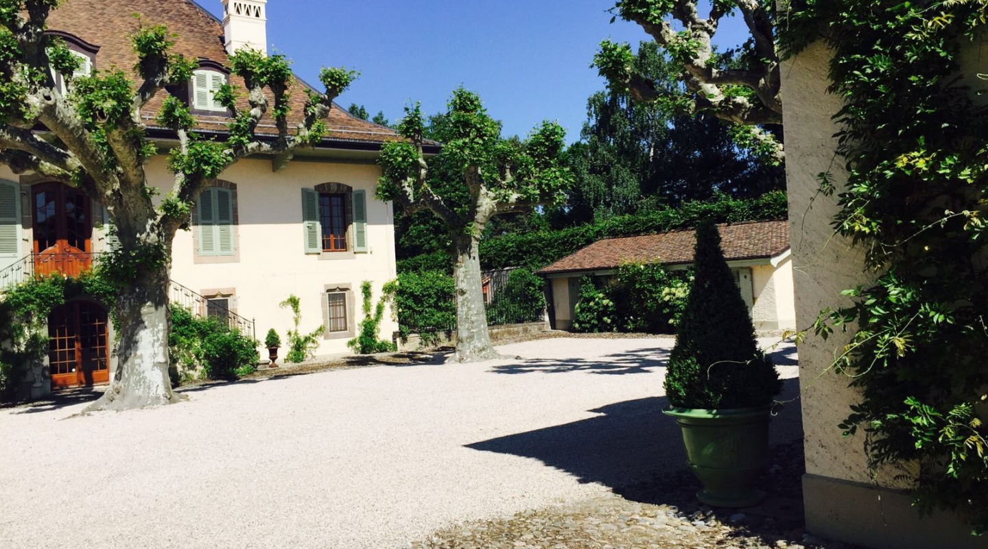 12 estate in lake geneva