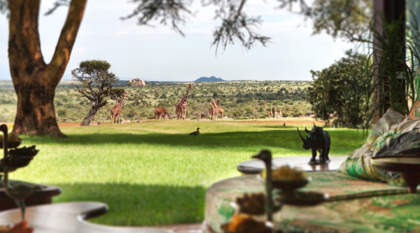 15 ol jogi wildlife conservancy