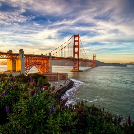 san francisco